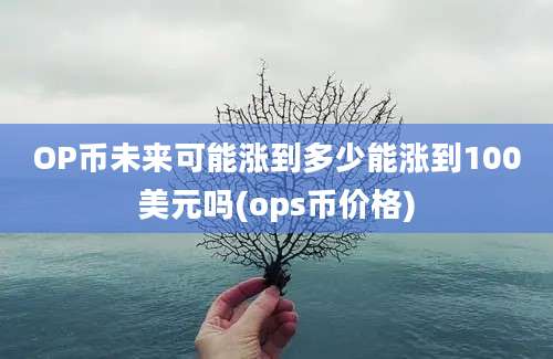 OP币未来可能涨到多少能涨到100美元吗(ops币价格)