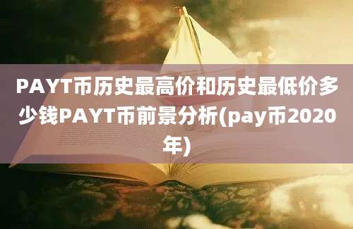 PAYT币历史最高价和历史最低价多少钱PAYT币前景分析(pay币2020年)