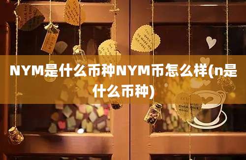 NYM是什么币种NYM币怎么样(n是什么币种)