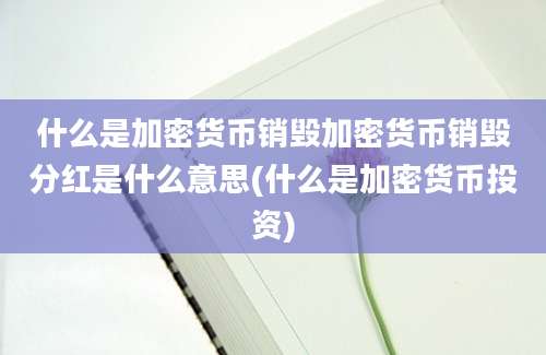 什么是加密货币销毁加密货币销毁分红是什么意思(什么是加密货币投资)