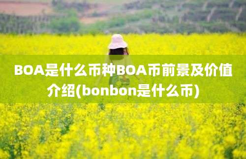 BOA是什么币种BOA币前景及价值介绍(bonbon是什么币)