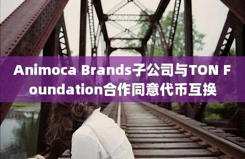 Animoca Brands子公司与TON Foundation合作同意代币互换