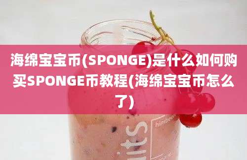 海绵宝宝币(SPONGE)是什么如何购买SPONGE币教程(海绵宝宝币怎么了)