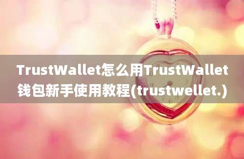 TrustWallet怎么用TrustWallet钱包新手使用教程(trustwellet.)