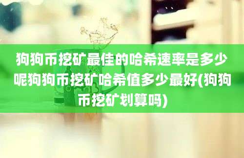 狗狗币挖矿最佳的哈希速率是多少呢狗狗币挖矿哈希值多少最好(狗狗币挖矿划算吗)