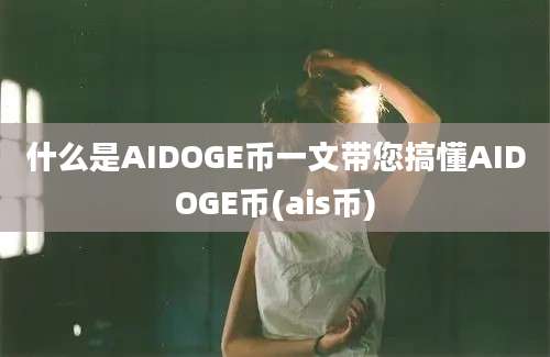 什么是AIDOGE币一文带您搞懂AIDOGE币(ais币)