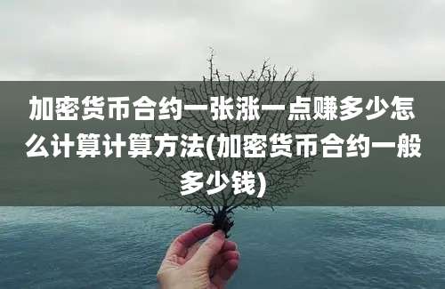 加密货币合约一张涨一点赚多少怎么计算计算方法(加密货币合约一般多少钱)