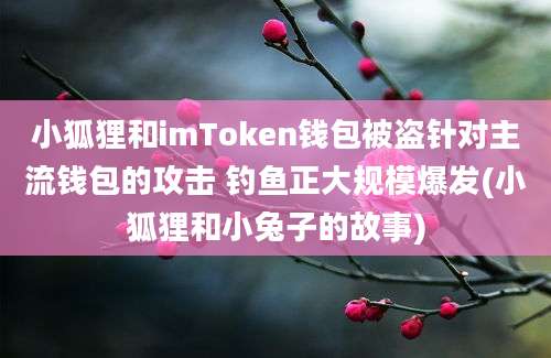 小狐狸和imToken钱包被盗针对主流钱包的攻击 钓鱼正大规模爆发(小狐狸和小兔子的故事)