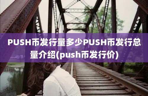 PUSH币发行量多少PUSH币发行总量介绍(push币发行价)