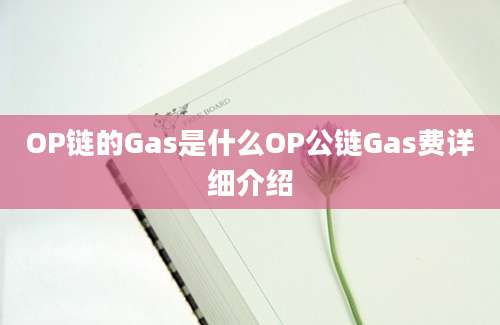 OP链的Gas是什么OP公链Gas费详细介绍