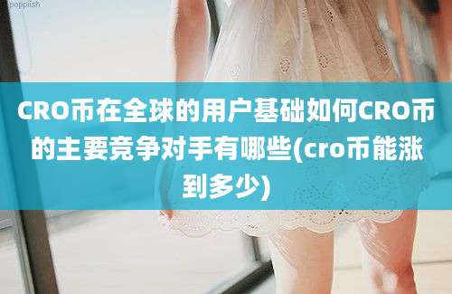 CRO币在全球的用户基础如何CRO币的主要竞争对手有哪些(cro币能涨到多少)