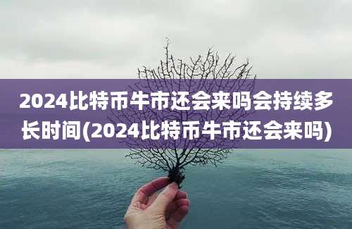 2024比特币牛市还会来吗会持续多长时间(2024比特币牛市还会来吗)