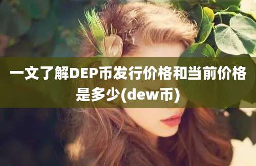 一文了解DEP币发行价格和当前价格是多少(dew币)