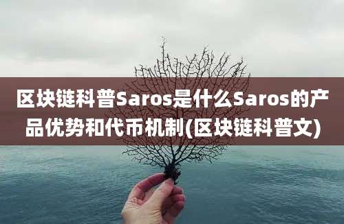 区块链科普Saros是什么Saros的产品优势和代币机制(区块链科普文)