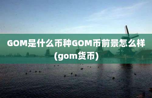 GOM是什么币种GOM币前景怎么样(gom货币)