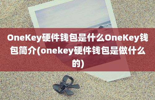 OneKey硬件钱包是什么OneKey钱包简介(onekey硬件钱包是做什么的)