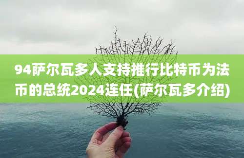 94萨尔瓦多人支持推行比特币为法币的总统2024连任(萨尔瓦多介绍)