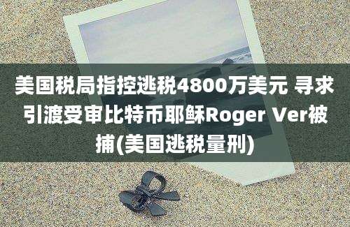 美国税局指控逃税4800万美元 寻求引渡受审比特币耶稣Roger Ver被捕(美国逃税量刑)