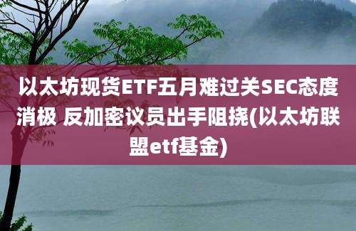 以太坊现货ETF五月难过关SEC态度消极 反加密议员出手阻挠(以太坊联盟etf基金)