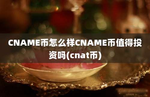 CNAME币怎么样CNAME币值得投资吗(cnat币)