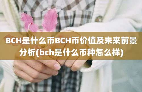 BCH是什么币BCH币价值及未来前景分析(bch是什么币种怎么样)