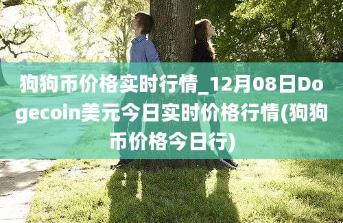 狗狗币价格实时行情_12月08日Dogecoin美元今日实时价格行情(狗狗币价格今日行)