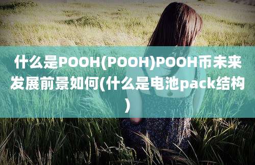 什么是POOH(POOH)POOH币未来发展前景如何(什么是电池pack结构)