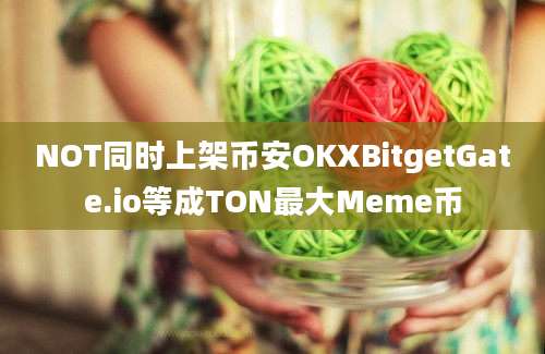 NOT同时上架币安OKXBitgetGate.io等成TON最大Meme币