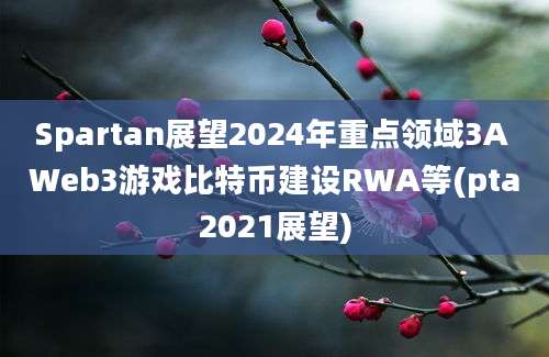 Spartan展望2024年重点领域3A Web3游戏比特币建设RWA等(pta2021展望)