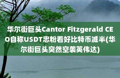 华尔街巨头Cantor Fitzgerald CEO自称USDT忠粉看好比特币减半(华尔街巨头突然空袭英伟达)