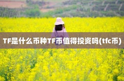 TF是什么币种TF币值得投资吗(tfc币)