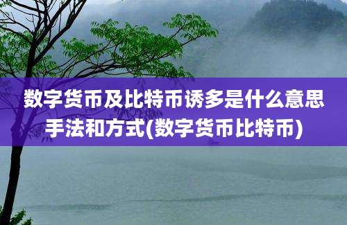 数字货币及比特币诱多是什么意思手法和方式(数字货币比特币)