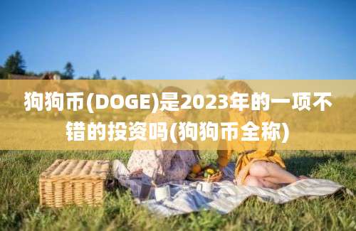 狗狗币(DOGE)是2023年的一项不错的投资吗(狗狗币全称)