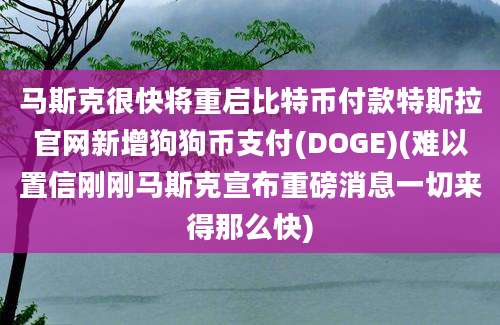 马斯克很快将重启比特币付款特斯拉官网新增狗狗币支付(DOGE)(难以置信刚刚马斯克宣布重磅消息一切来得那么快)