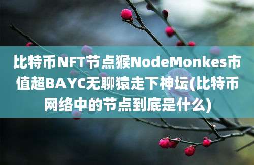 比特币NFT节点猴NodeMonkes市值超BAYC无聊猿走下神坛(比特币网络中的节点到底是什么)