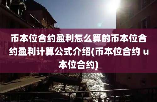 币本位合约盈利怎么算的币本位合约盈利计算公式介绍(币本位合约 u本位合约)