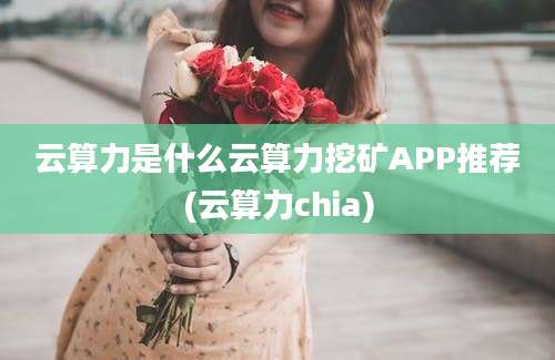 云算力是什么云算力挖矿APP推荐(云算力chia)