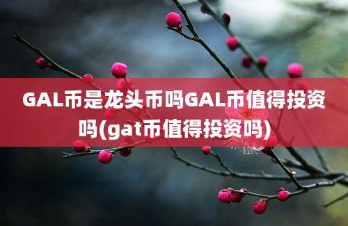 GAL币是龙头币吗GAL币值得投资吗(gat币值得投资吗)