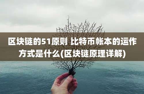 区块链的51原则 比特币帐本的运作方式是什么(区块链原理详解)