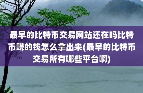 最早的比特币交易网站还在吗比特币赚的钱怎么拿出来(最早的比特币交易所有哪些平台啊)