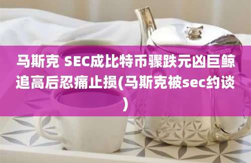 马斯克 SEC成比特币骤跌元凶巨鲸追高后忍痛止损(马斯克被sec约谈)