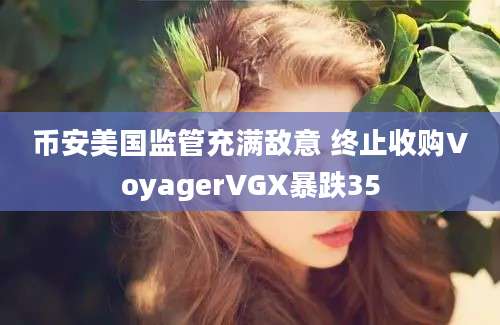 币安美国监管充满敌意 终止收购VoyagerVGX暴跌35