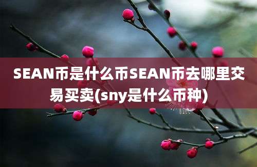 SEAN币是什么币SEAN币去哪里交易买卖(sny是什么币种)