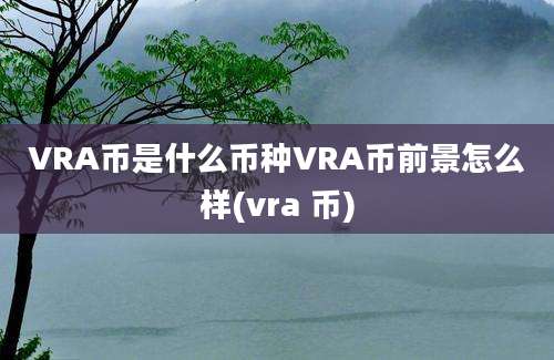 VRA币是什么币种VRA币前景怎么样(vra 币)