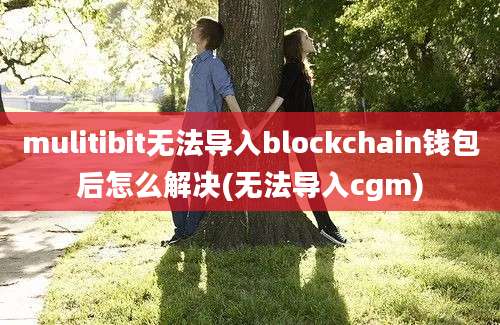 mulitibit无法导入blockchain钱包后怎么解决(无法导入cgm)