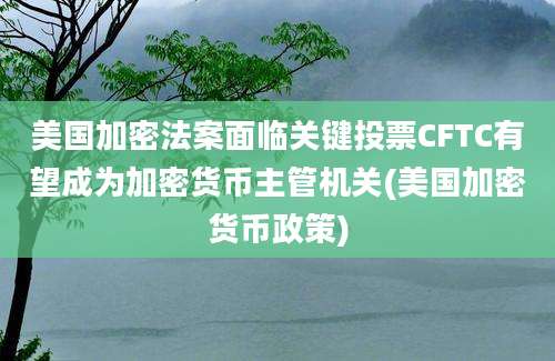 美国加密法案面临关键投票CFTC有望成为加密货币主管机关(美国加密货币政策)