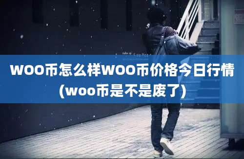 WOO币怎么样WOO币价格今日行情(woo币是不是废了)