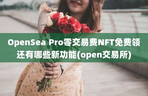 OpenSea Pro零交易费NFT免费领还有哪些新功能(open交易所)