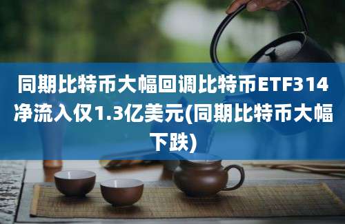 同期比特币大幅回调比特币ETF314净流入仅1.3亿美元(同期比特币大幅下跌)