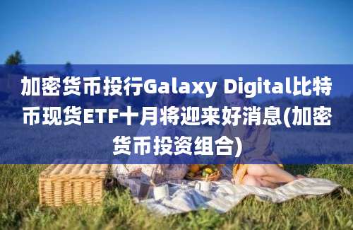 加密货币投行Galaxy Digital比特币现货ETF十月将迎来好消息(加密货币投资组合)